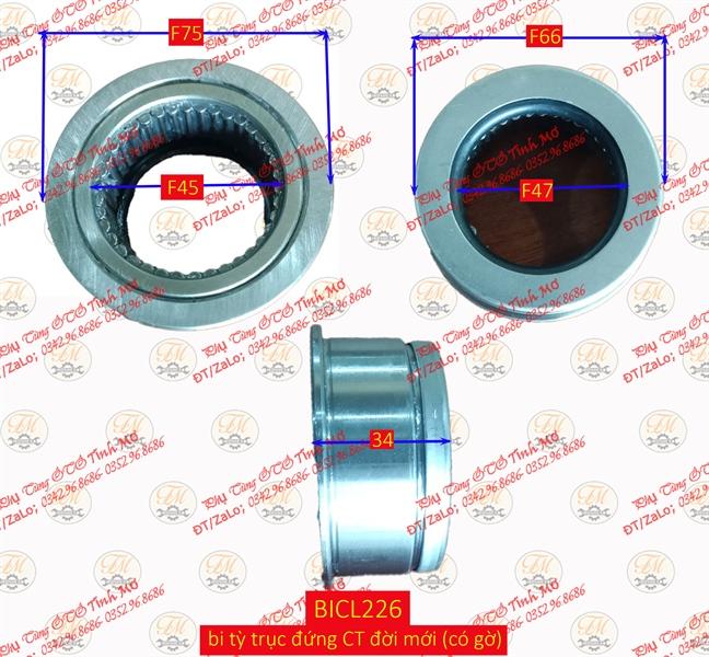 Bi tỳ trục đứng CT đời mới