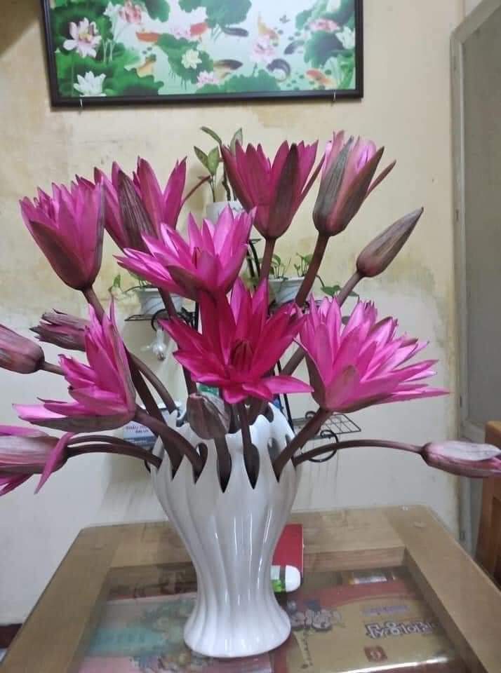 Lọ cắm hoa