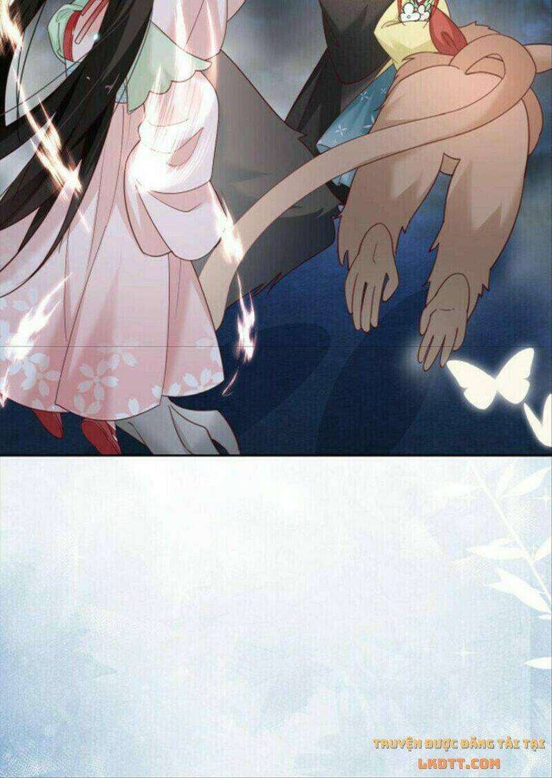 hắc hóa nam chính trực tuyến nuôi thỏ chapter 51 16