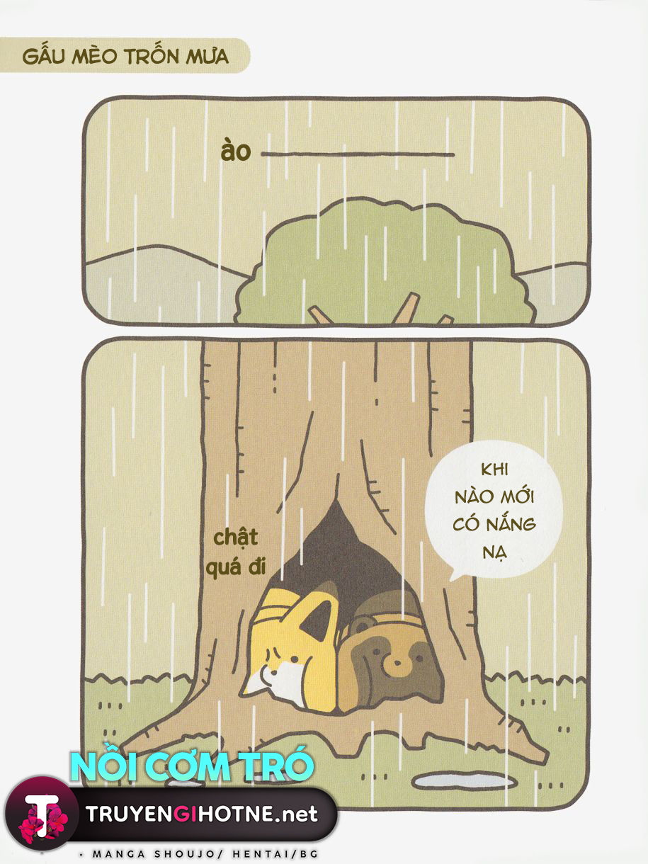cáo và gấu mèo chapter 8 19