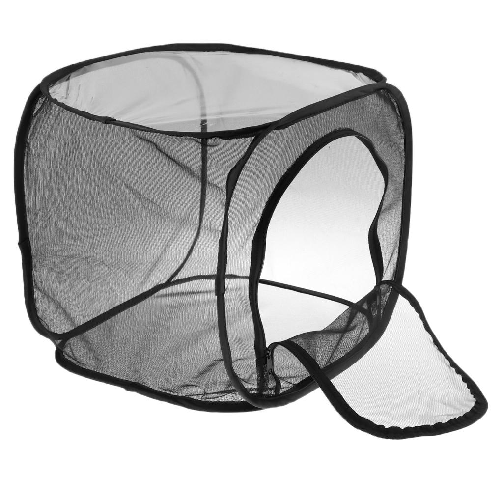 Foldable Insect And Butterfly Habitat Net Terrarium Breeding Cage Black