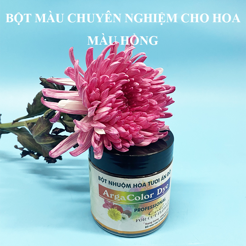 Thuốc Bột Nhuộm Hoa Tươi màu thực phẩm Ấn Độ (Combo 3 hộp tùy màu) giúp đổi màu hoa cắt cành (1 hủ pha 12L nước màu)