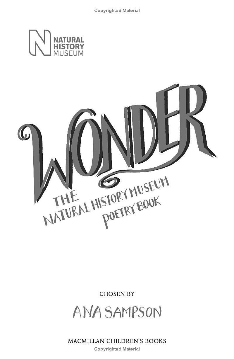 Sách ngoại văn: Wonder - The Natural History Museum