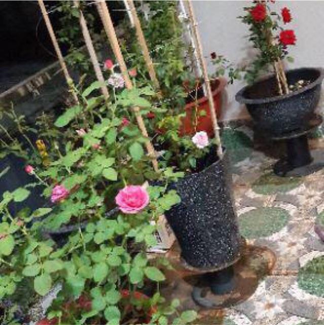 Chậu Hoa 2 cái Chậu vòng sóng đá đen, Chậu vòng tròn, chậu nhựa sóng tròn cao