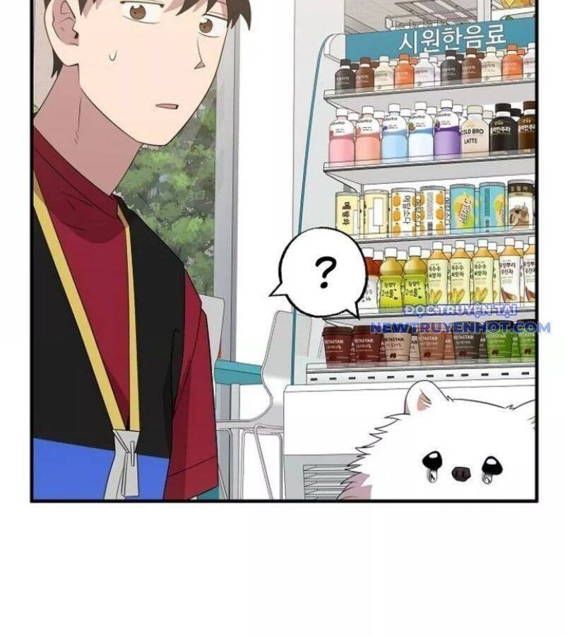 cửa hàng diệu kỳ chapter 49 27