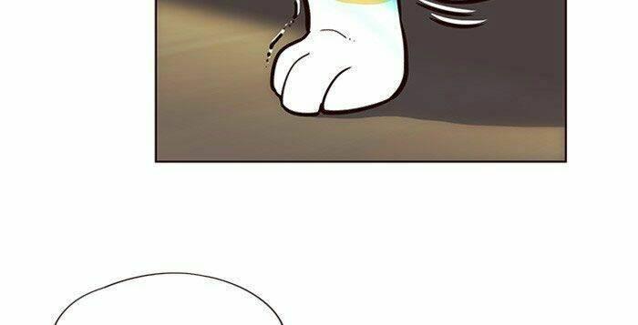 biến thân thành mèo chapter 11 29