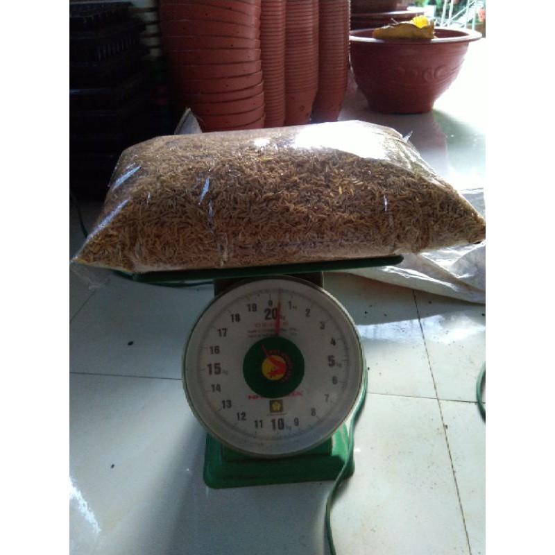 500g Vỏ trấu sạch hạt to
