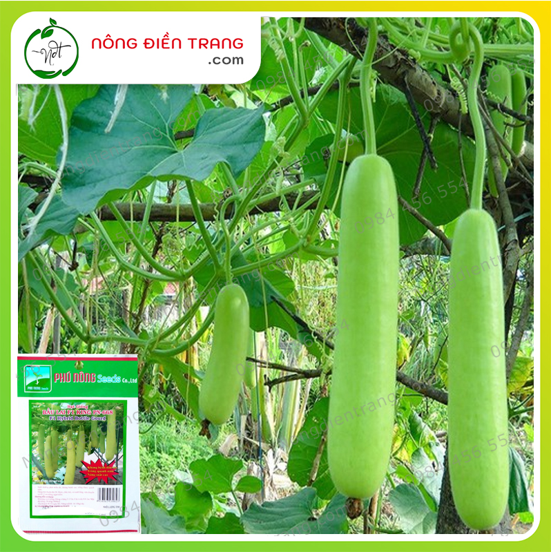 Hạt Giống Bầu Dài Lai F1 Phú Nông - Gói 1g - Trái suôn dài, da láng, năng suất cao, kháng bệnh tốt VTNN Nông Điền Trang