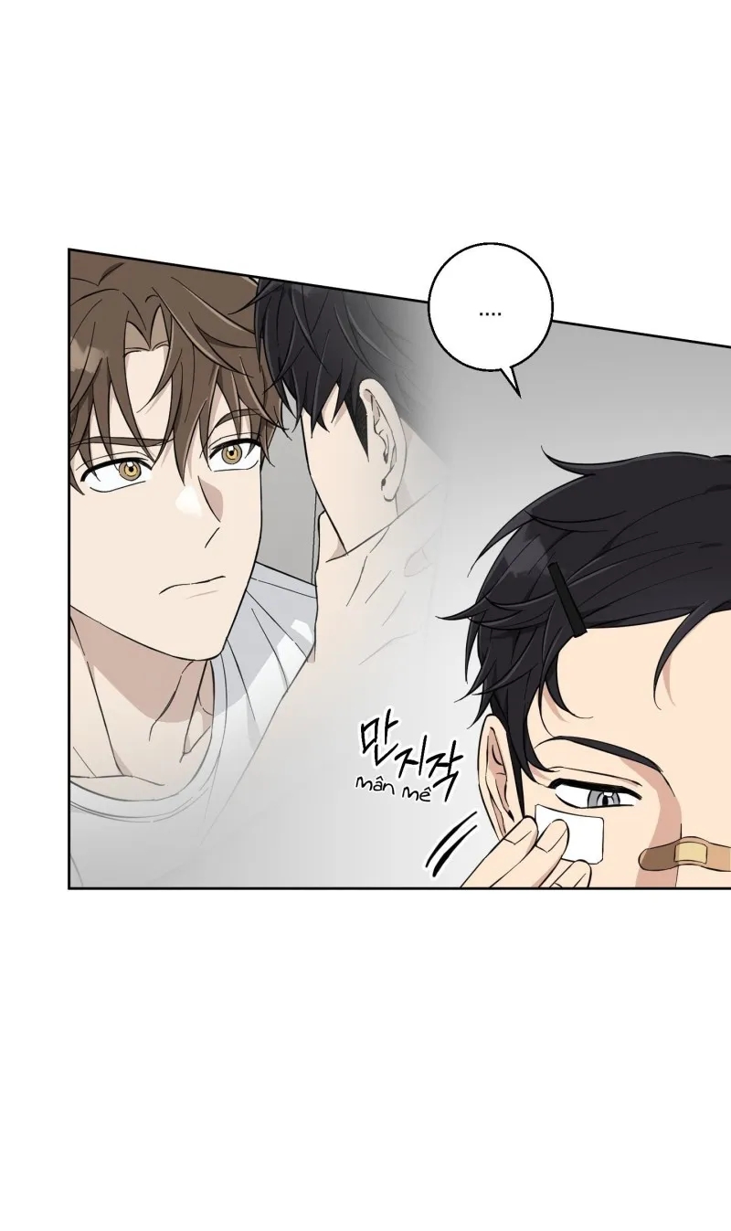 hãy bảo vệ tình yêu thuần khiết! chapter 8 18