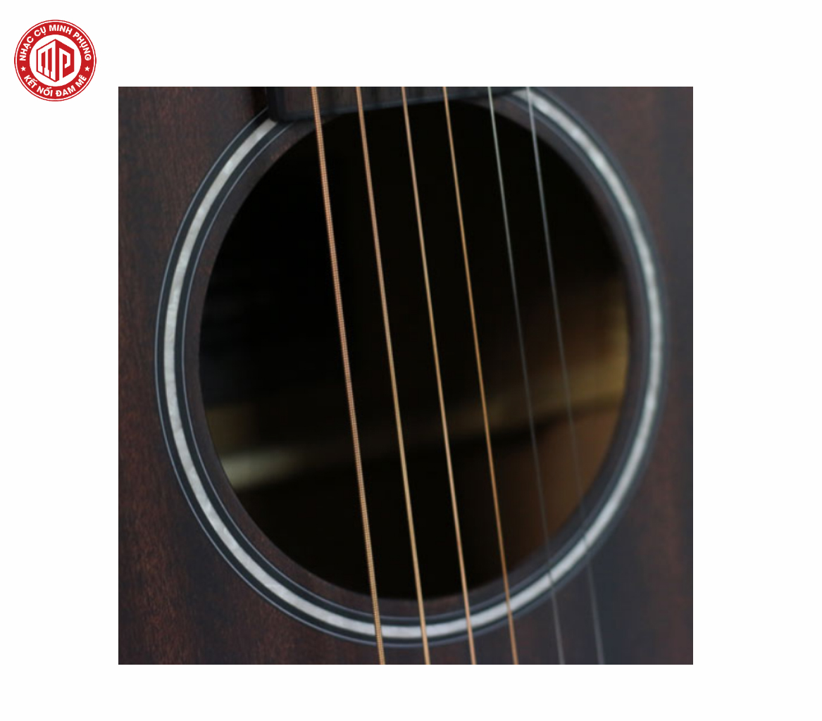 Đàn Guitar Acoustic Hex F120CEM - Hàng chính hãng