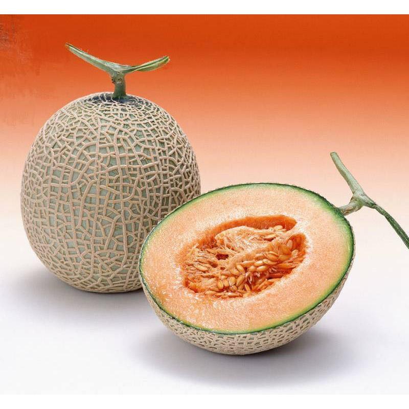 Hạt Giống Dưa Lưới Vỏ Xanh - 10 hạt/gói
