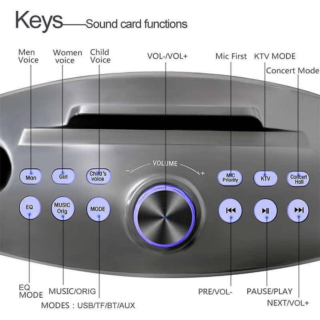 Loa Karaoke Bluetooth SDRD SD306 Plus Bản Mới Nhất - Kèm 2 Micro karaoke Không Dây/BH 6 tháng