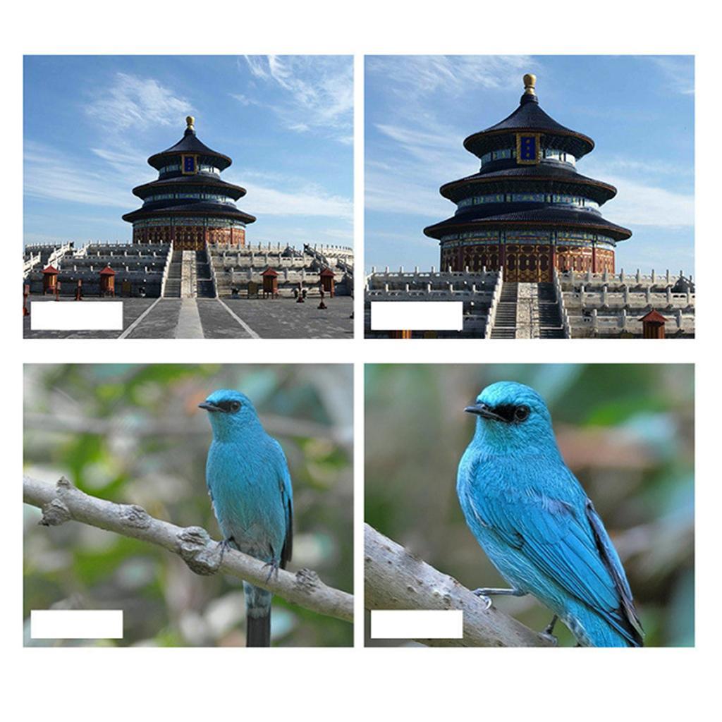 12X Phone Telescope 6 In 1 The Lens Suit Zoom Camera Lens Kit Black