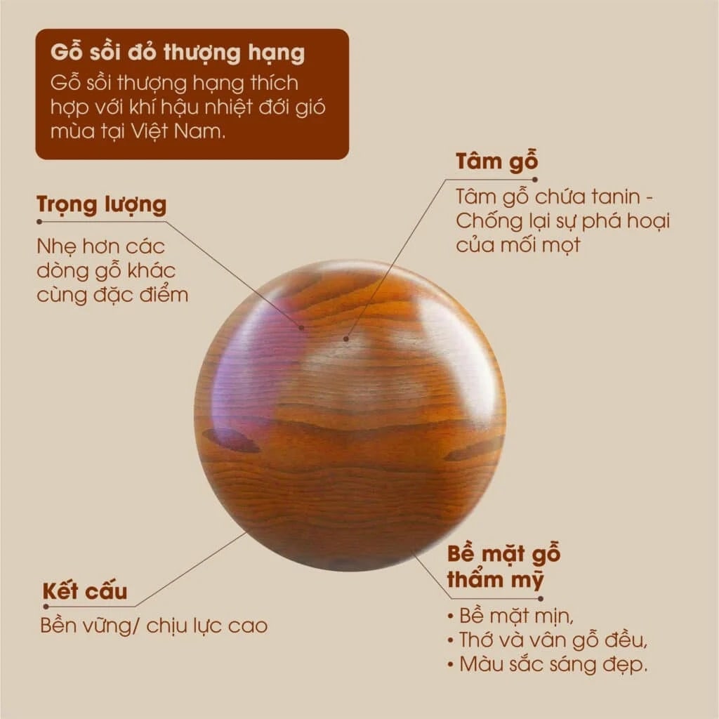 KHUNG VÕNG GỖ SỒI TỰ NHIÊN HAKAWA HK-V38 -