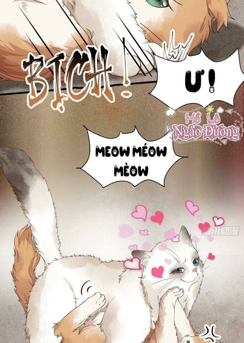 sát thủ vương phi không dễ chọc chapter 35 3