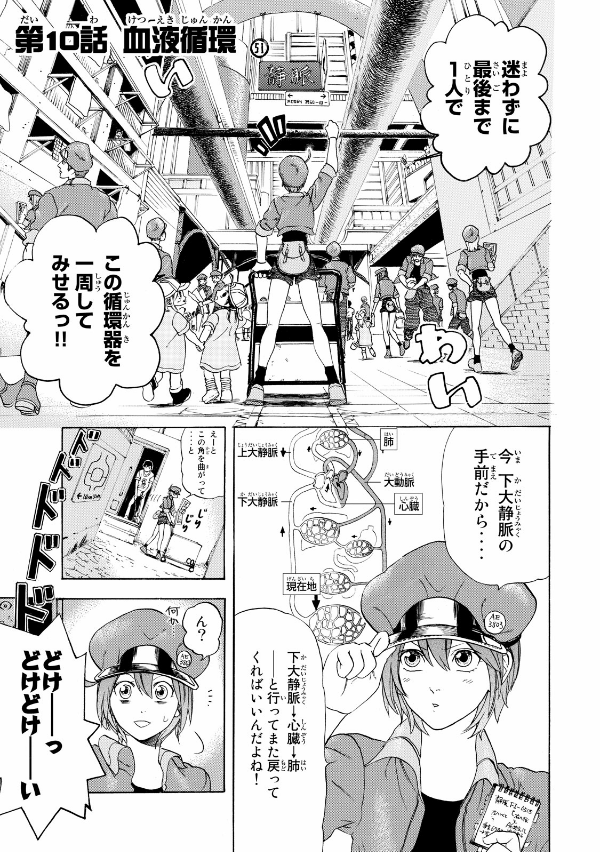 Hataraku Saibo - Cells At Work!! 3 (Japanese Edition)