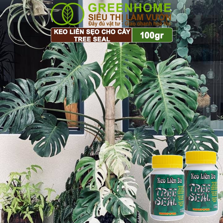 Keo Liền Sẹo Cho Cây Greenhome, Tree Seal, Chai 100gr, Liền Nhanh Vết Cắt Da Cây, Chiết Cành