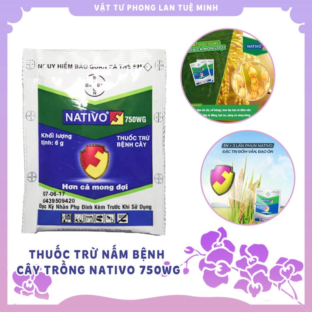 Thuốc Trừ Nấm Bệnh Cây Trồng Nativo 750WG gói 6g