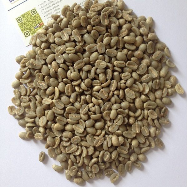 Nhân CAFE sống robusta