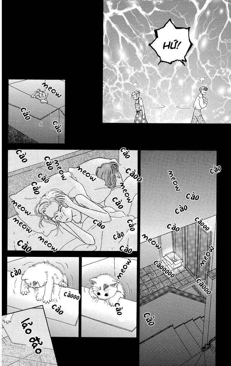 cuộc sống thường nhật của mèo zaccho chapter 1.5 8