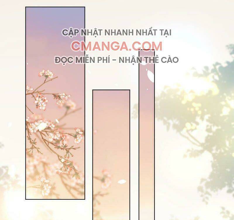 quận chúa vững vàng, thiết lập nhân vật không thể vỡ chapter 39 26