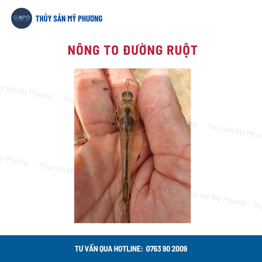Men tiêu hóa enzyme nông to đường ruột Bio Lactizyme ngừa phân trắng kích thích ăn lớn nhanh tôm thẻ cá lươn ếch ốc baba
