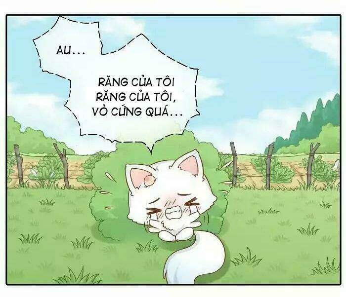 tiểu hồ ly vs tiểu hóa thượng chapter 12 11