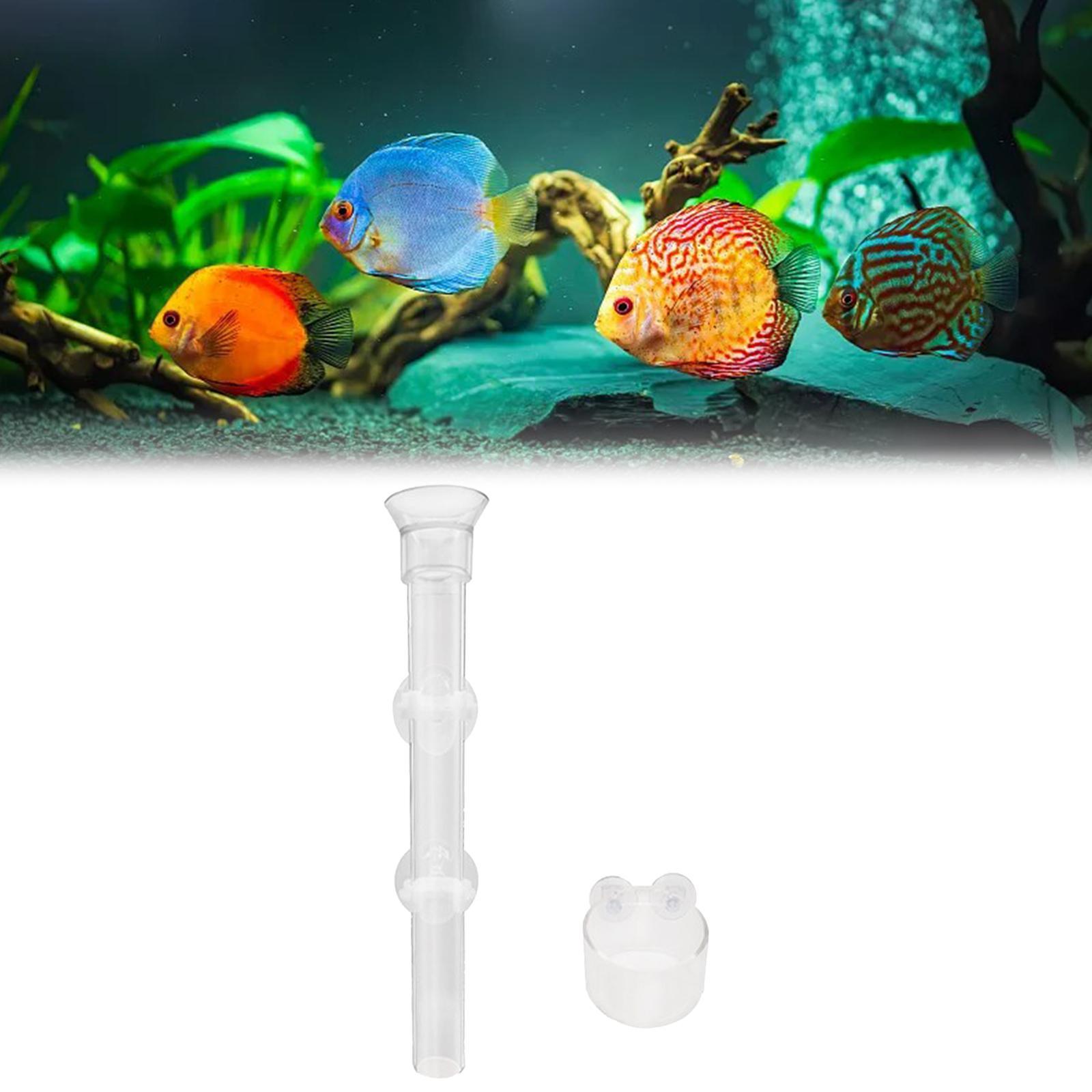 Clear Shrimp Feeder Fish Food Dish Container for Fish Tank