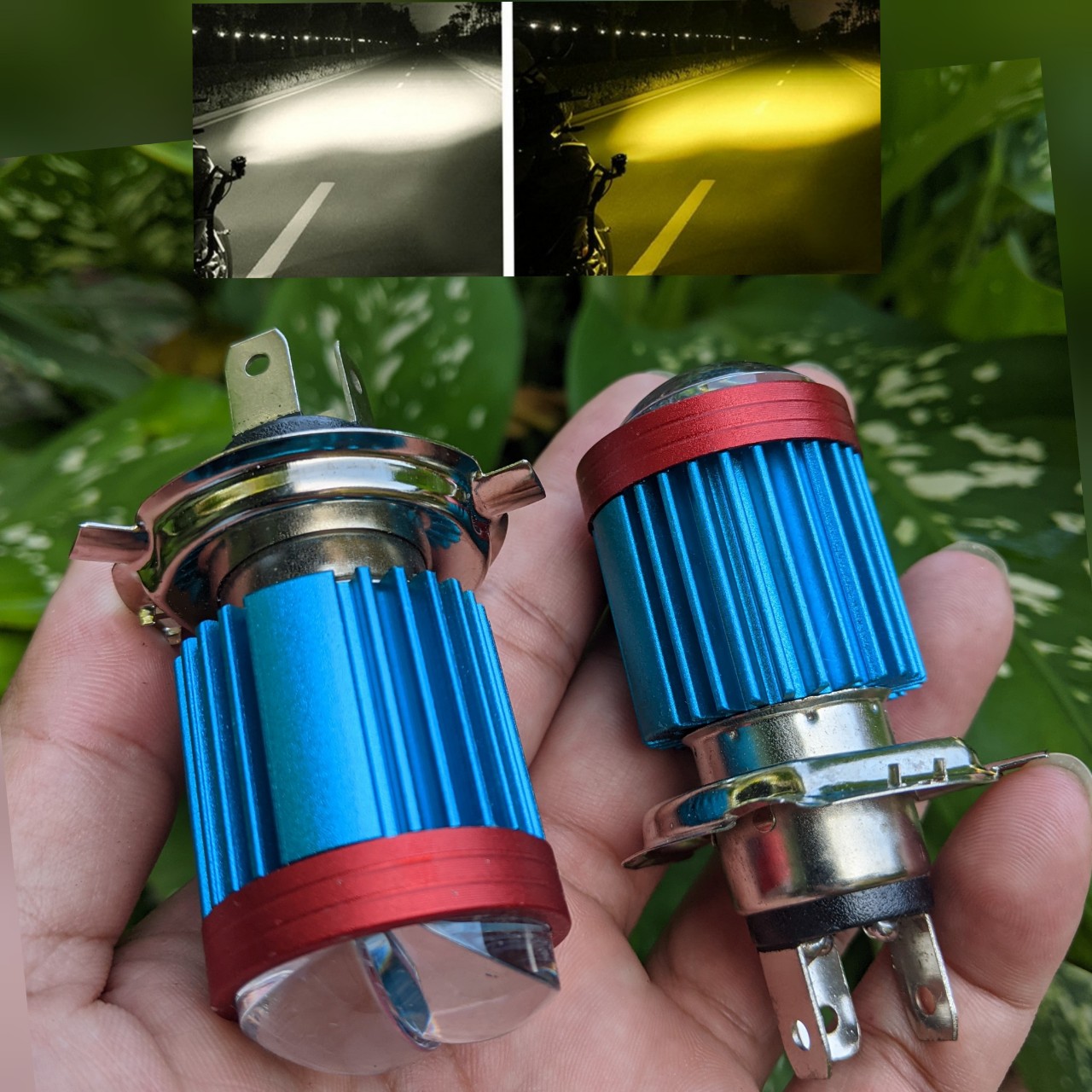 Đèn pha xe máy led bi cầu Z02 cốt vàng pha trắng hàng cao câp