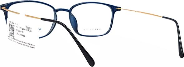 Gọng Kính Thời Trang Vigcom VG1618 C3