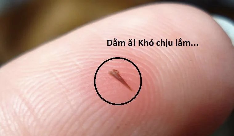 sự lụi tàn của usuzumi chapter 92 79