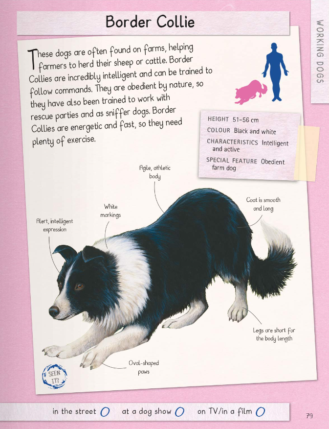 Dogs Handbook