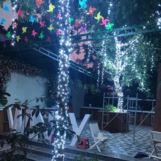 Led đúc- chuyên gia trang trí, quấn cây ngoài trời, cổng chào, chịu nước chuẩn ip67