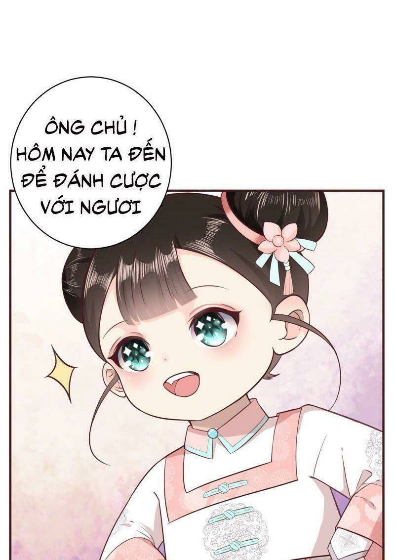 quận chúa vững vàng, thiết lập nhân vật không thể vỡ chapter 1 52