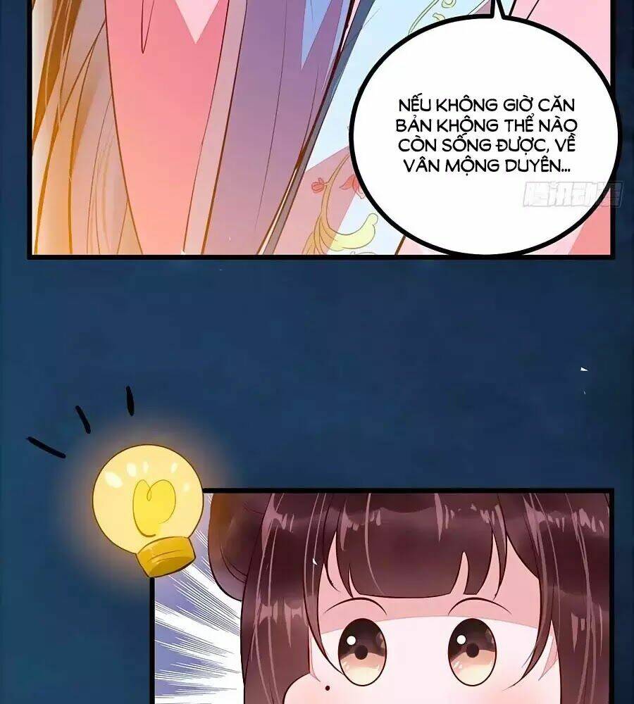 thần y khí nữ: ngự thú cuồng phi của quỷ đế chapter 61 55