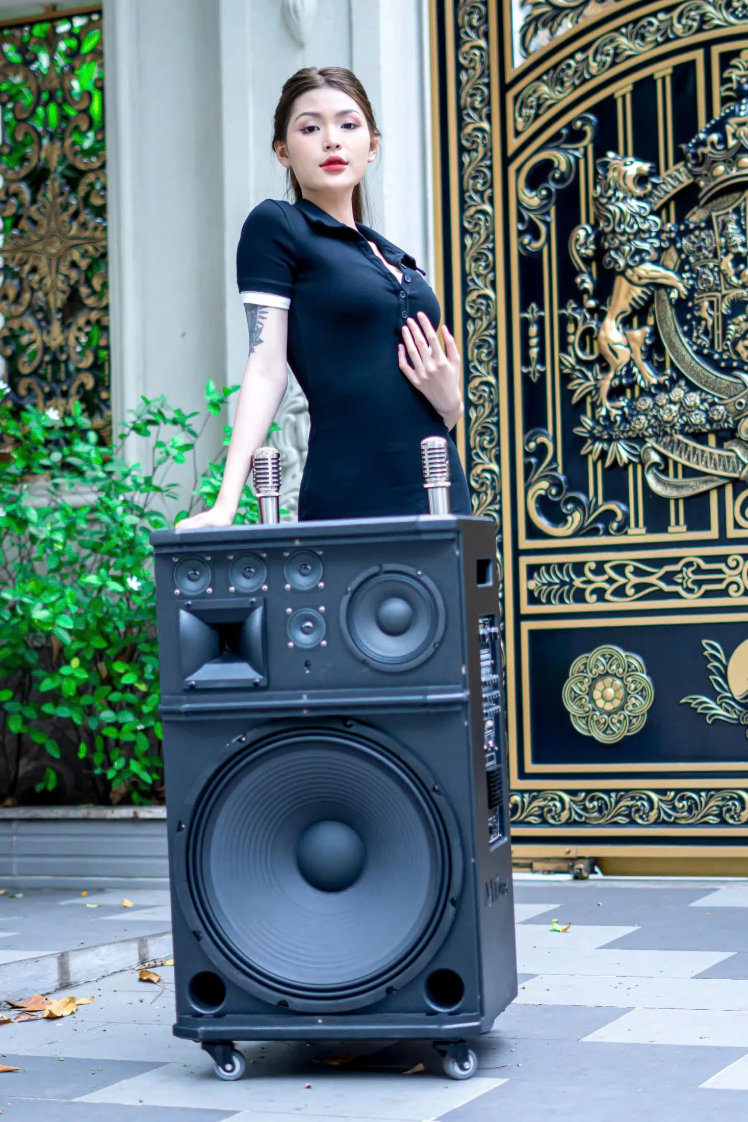Loa karaoke nghe nhạc nhập khẩu nội địa 8315 Bass 45,1 Trung, 5 Treble Công suất 1500W kèm 2 mic chống hú hát hay hàng nhập khẩu