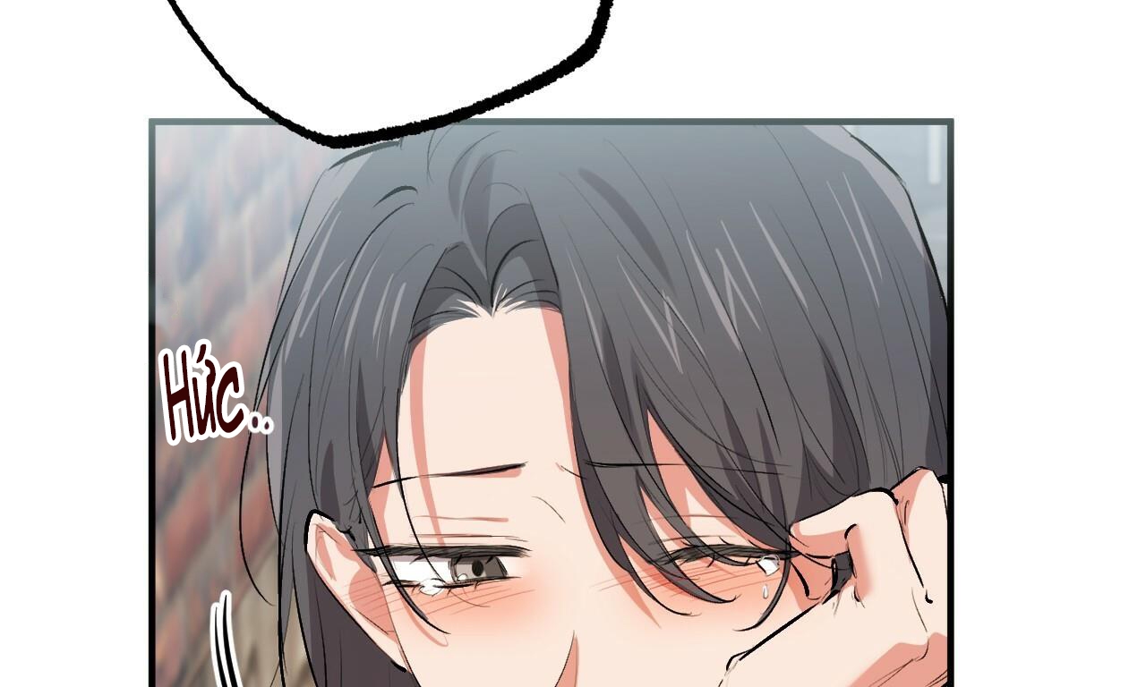 đàn thỏ của habibi chapter 50 90