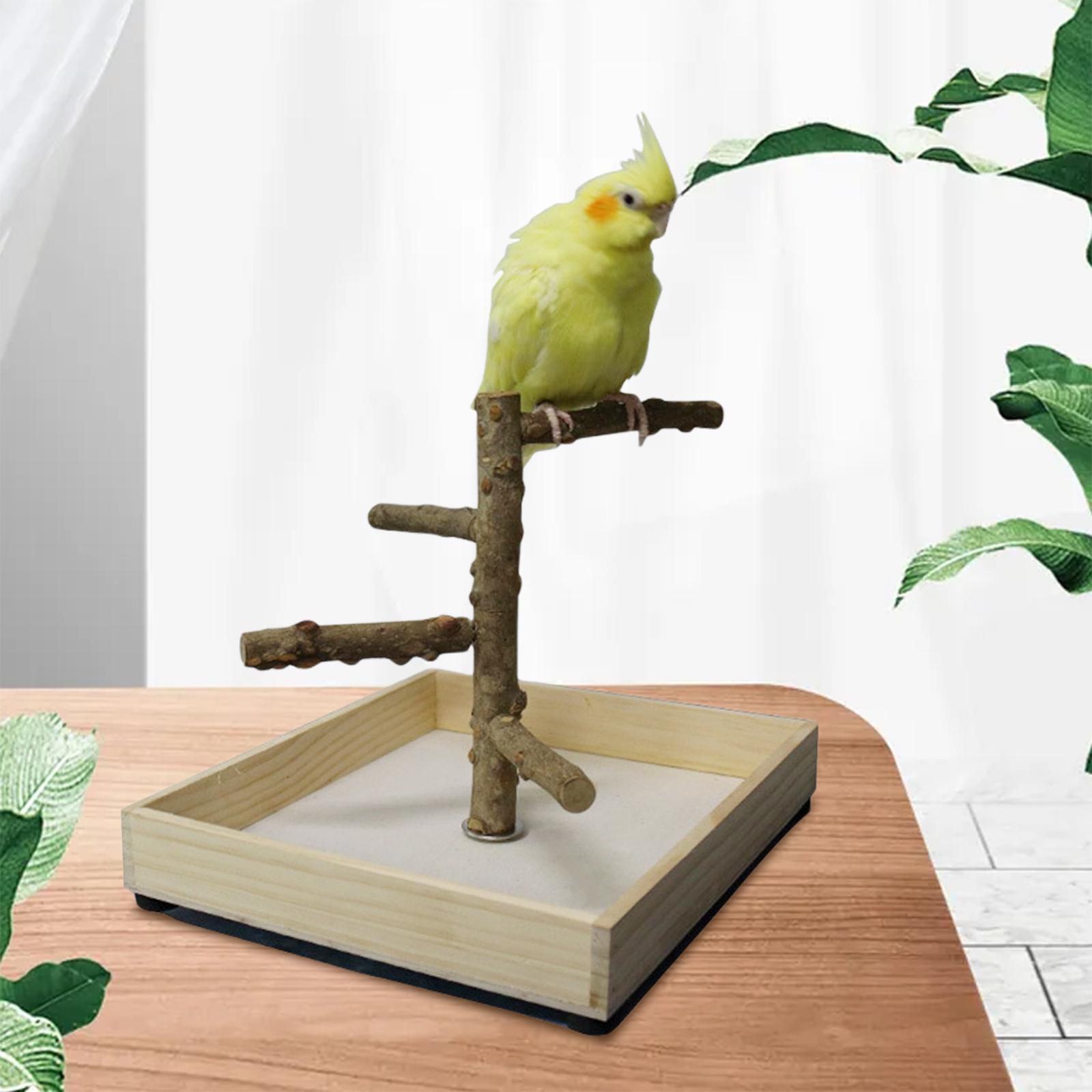 Pack of 2 Bird Perch Bird Training Stand Platform Playground Wooden Branches