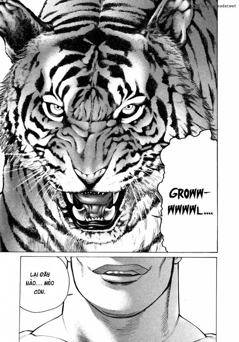 karate shoukoushi kohinata minoru chapter 111 7