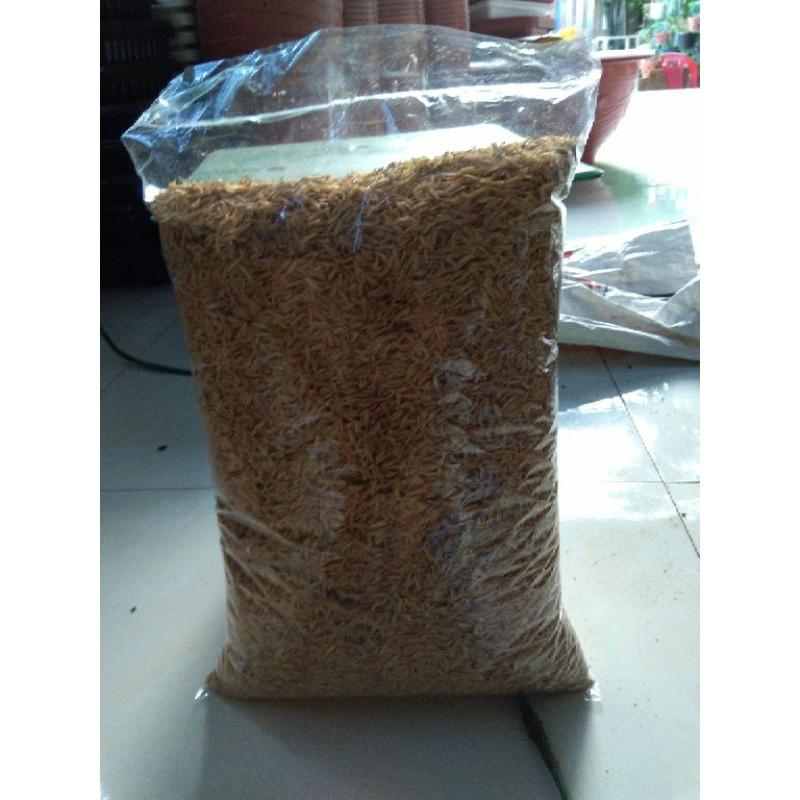 500g Vỏ trấu sạch hạt to