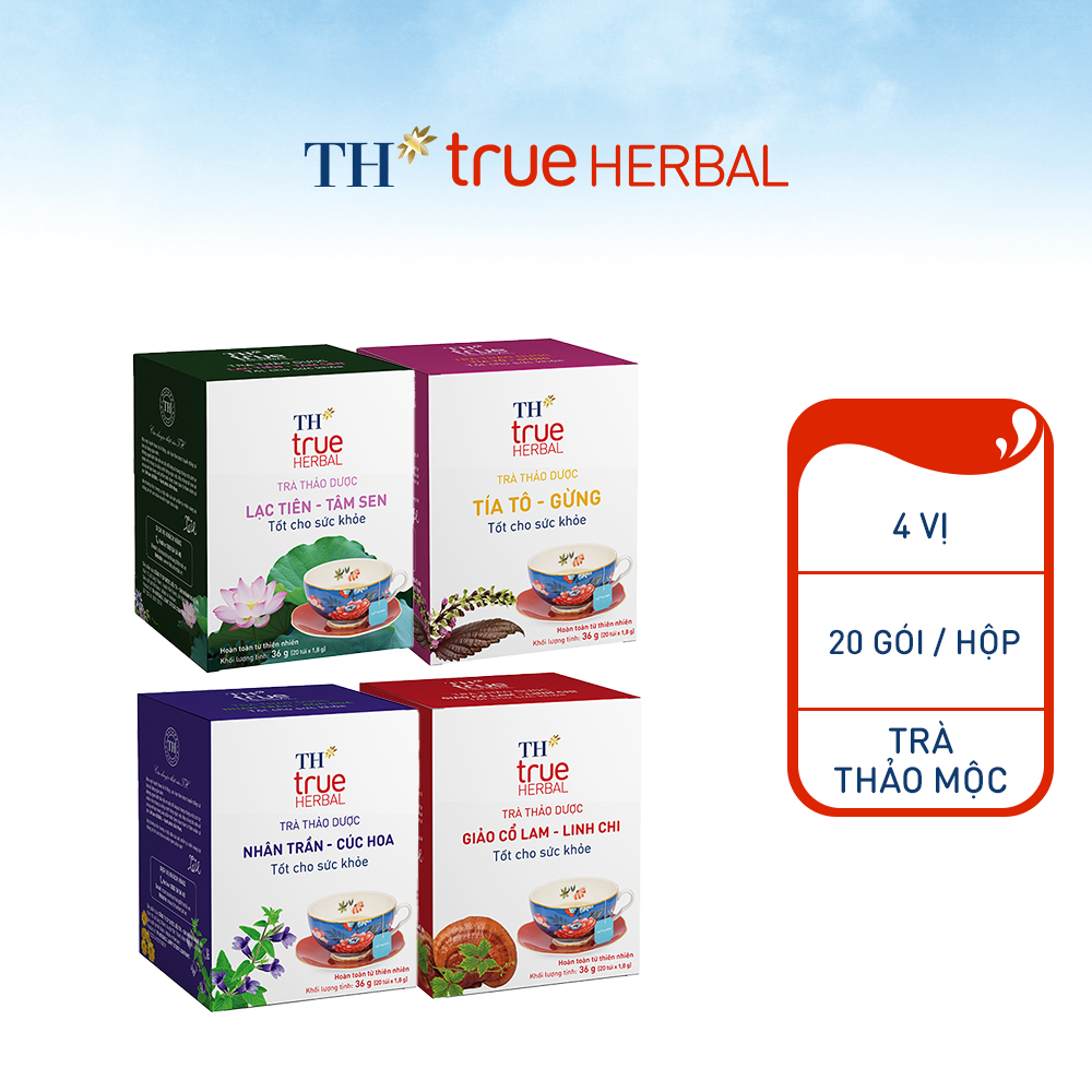 Bộ 4 hộp Trà Giảo cổ lam – Linh chi, Trà Nhân Trần – Cúc Hoa, Trà Lạc tiên – Tâm Sen, và Trà Tía tô – Gừng TH true HERBAL (80 gói)