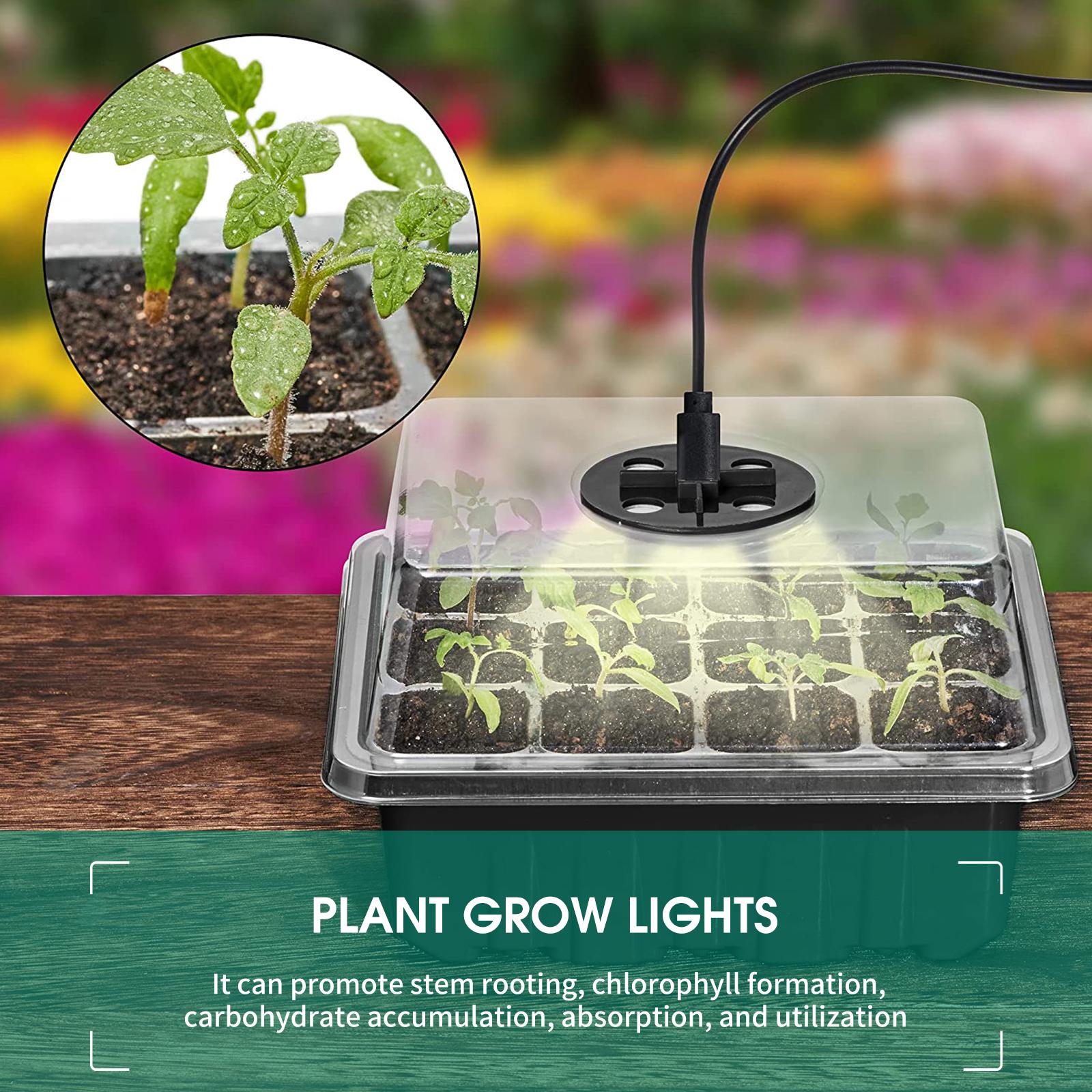 Set 5 Khay Trồng Cây Kèm Đèn Và Công Cụ Nhân Giống
