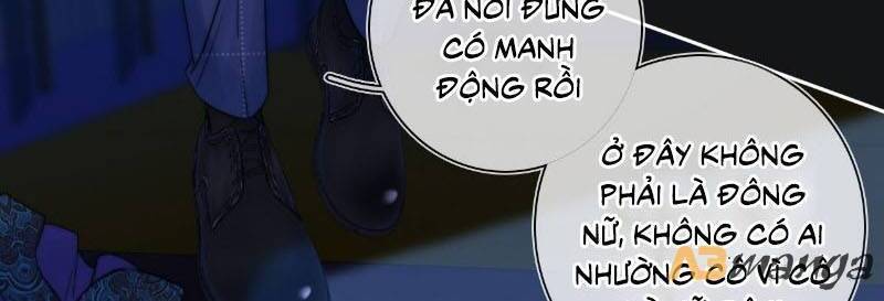 kim ốc tàng kiều chapter 55 11