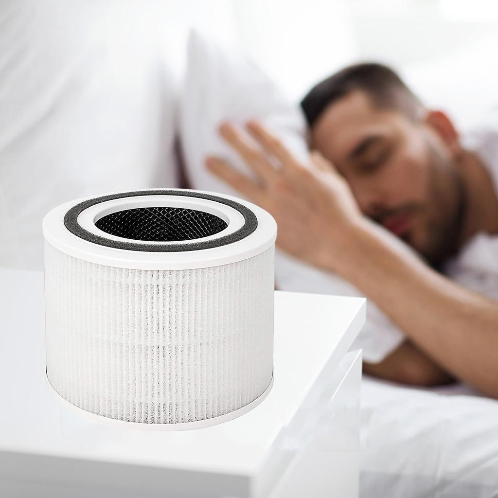 Standard Air Filter True HEPA Filters Caring Odour Fits
