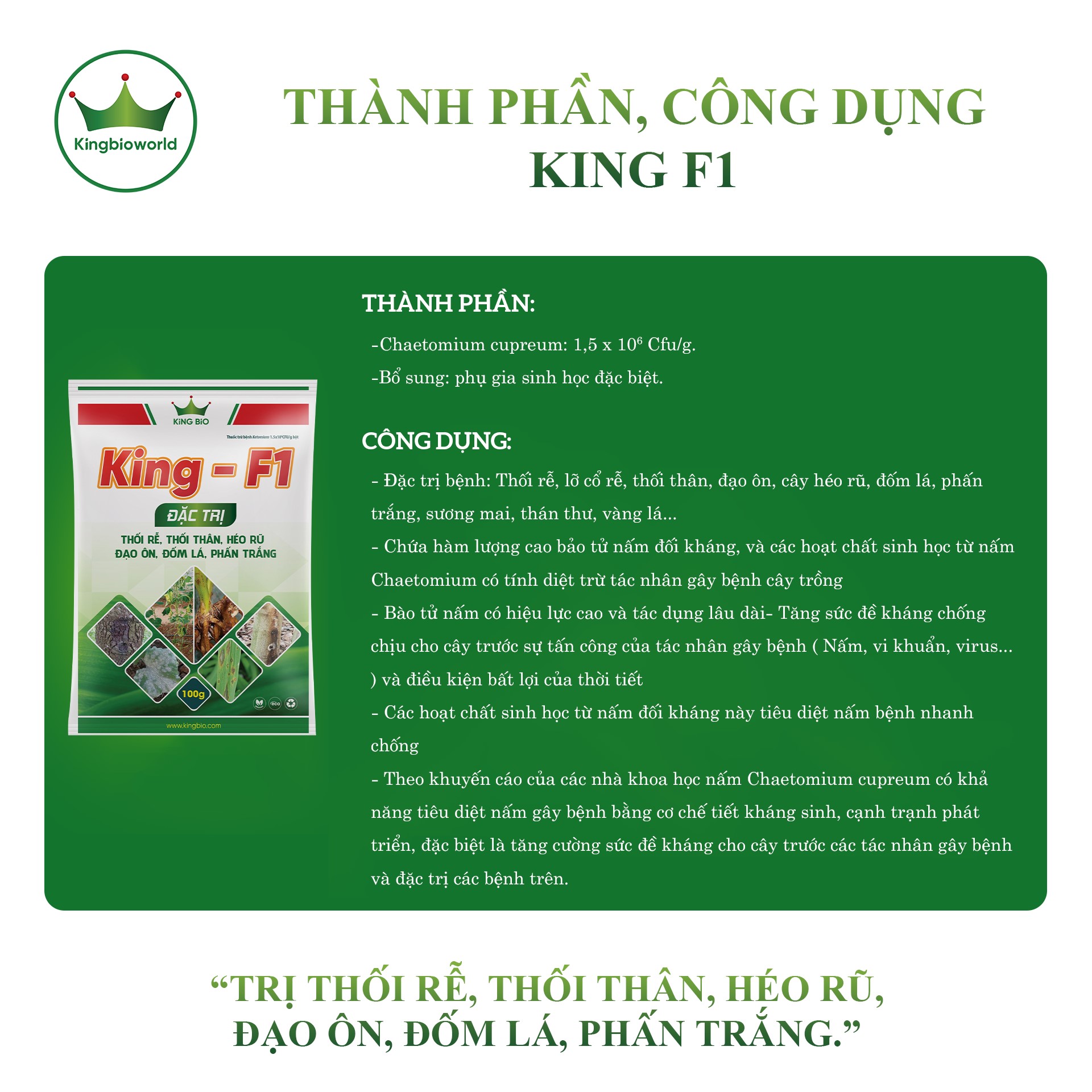 Combo đặc trị vàng lá thối rễ tuyết trùng dứt điểm King F1, King ST1, King 68