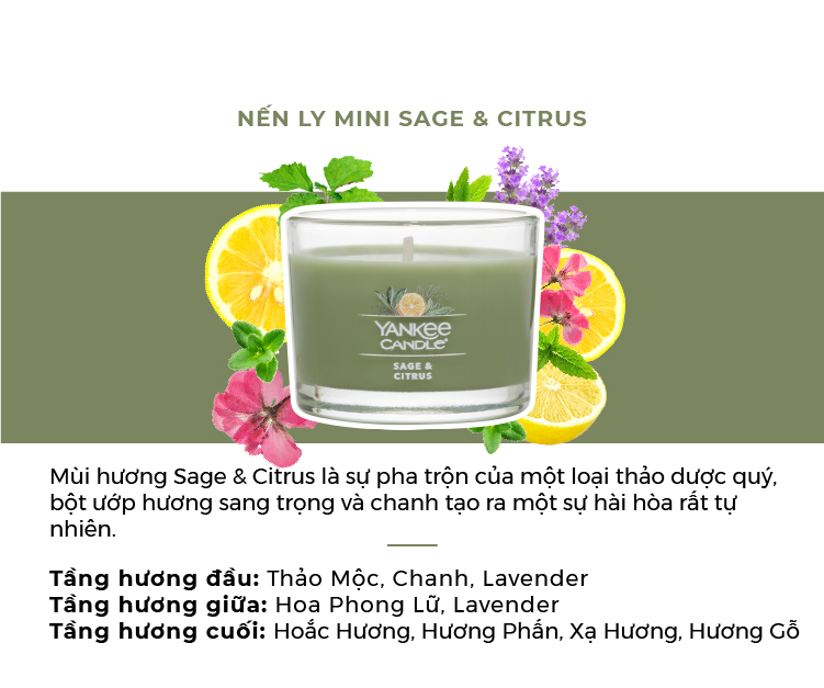 Nến ly mini Yankee Candle (37g) - Sage &amp; Citrus