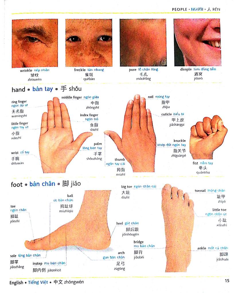 Visual English Vietnamese Chinese Trillingual Dictinonary