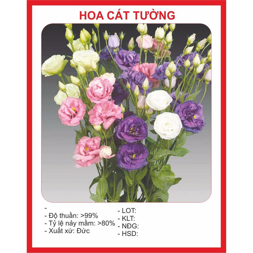 Hạt giống hoa Cát Tường 5 Hạt