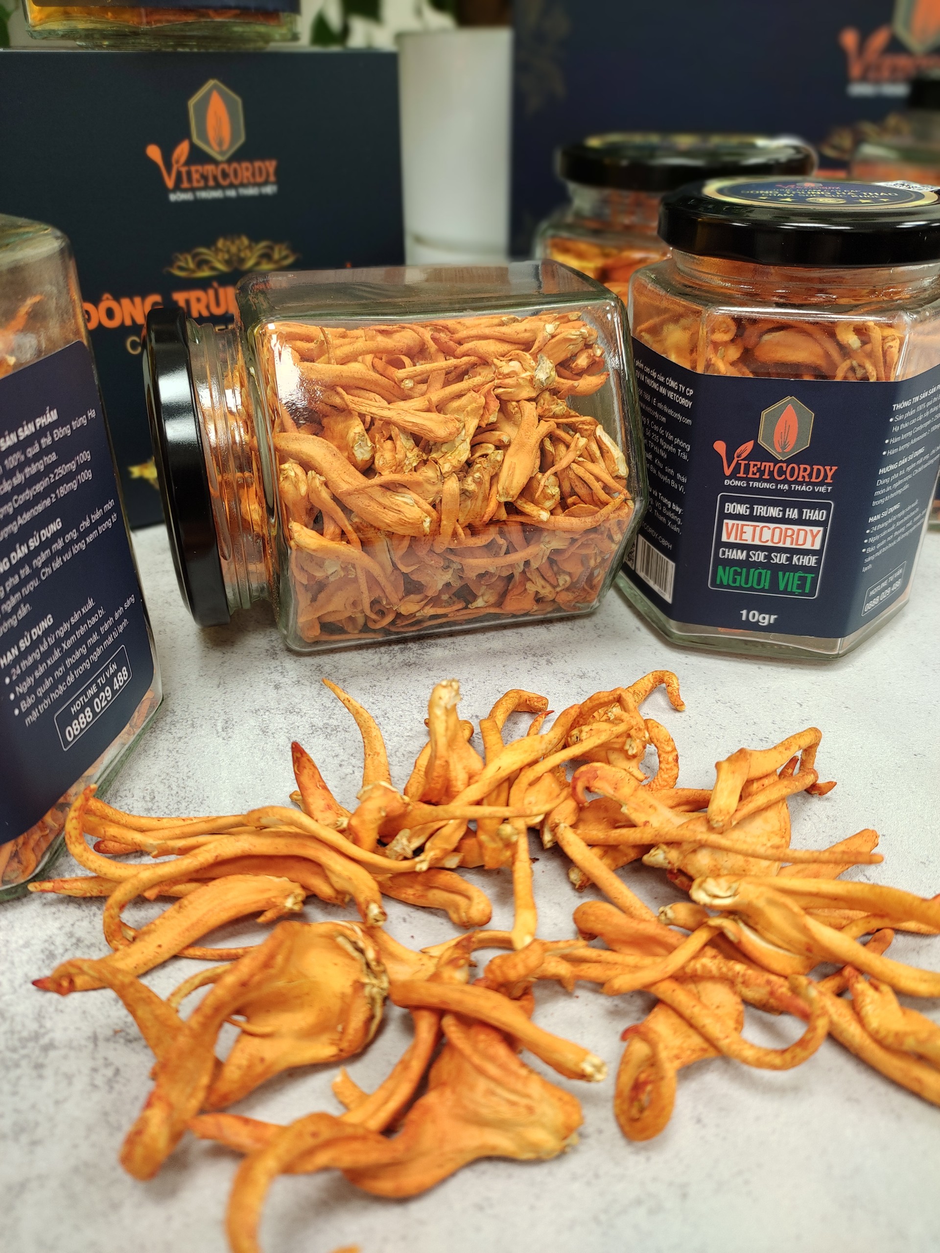 DEAL SỐC { Mua 3 hộp 10g tặng thêm 1 hôp 10g } đông trùng hạ thảo cao cấp Viet Cordy