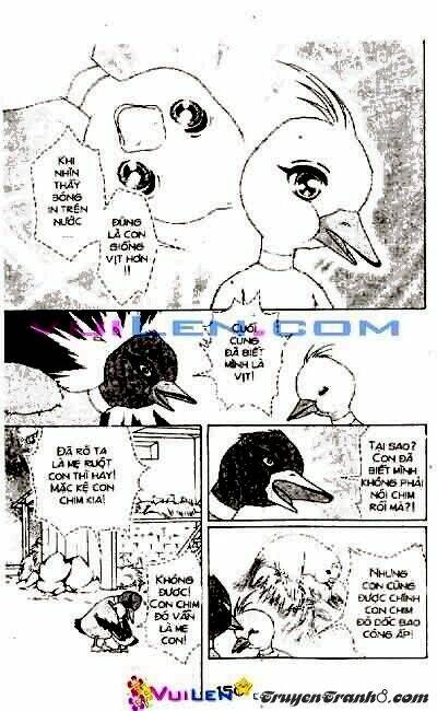 đóa hoa yêu kiều chapter 3 151